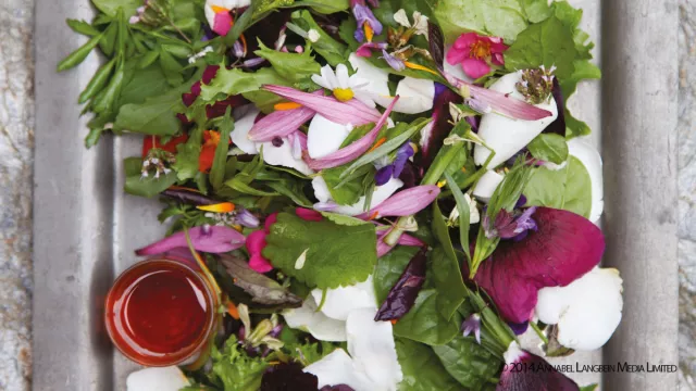 Salata „Moć cveća“ Anabel Langbejn