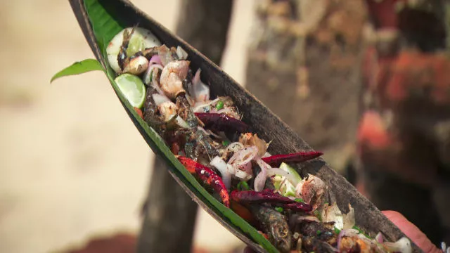 Hrskava haringa sa ljutom salatom iz Šri Lanke